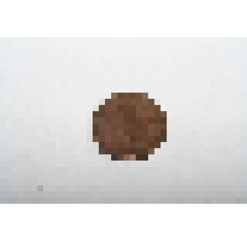 Монета "1 фын"