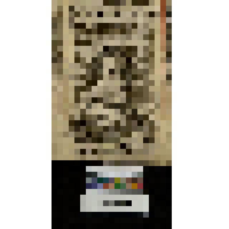 Портрет Георгия герцога Брауншвейгского. "Georgius Dux Brunsviensis et Luneb"