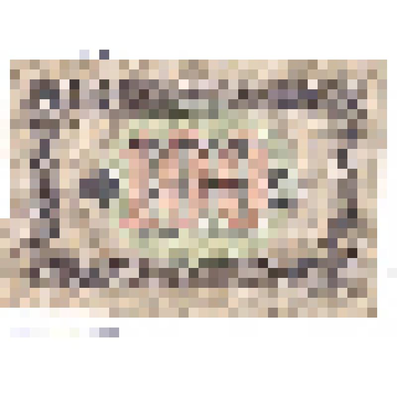 Государственный денежный знак  "100 рублей", АО-5206.  РСФСР (СССР), 1923 г