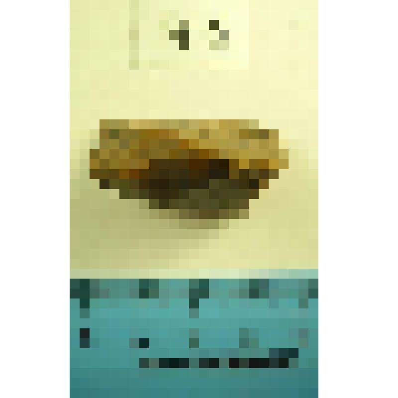 Резец