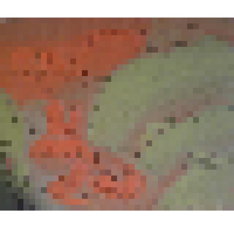 Из серии "Хорошо", 1997 г