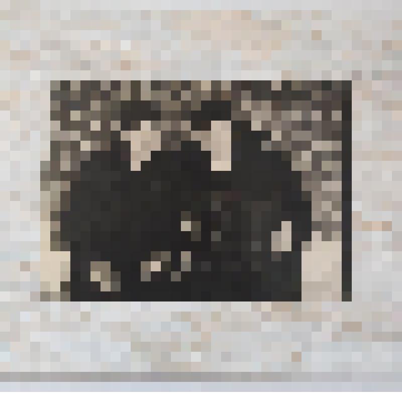 Фото Куроптев Иван Павлович со своим другом