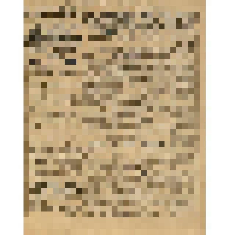 Газета. "Красный кавалерист" № 183