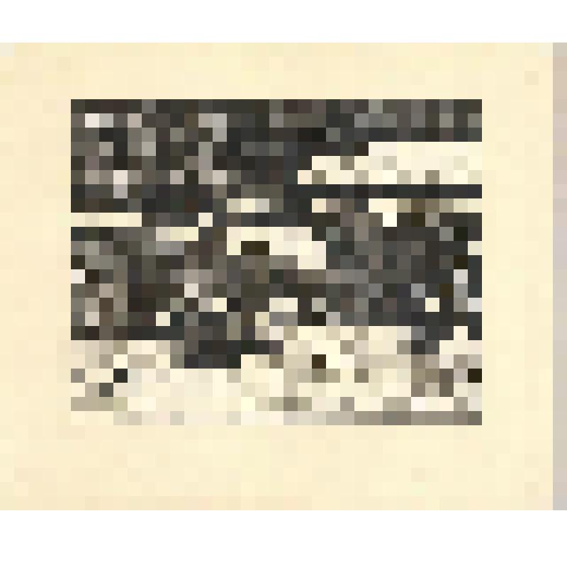 Линогравюра. Снег идёт