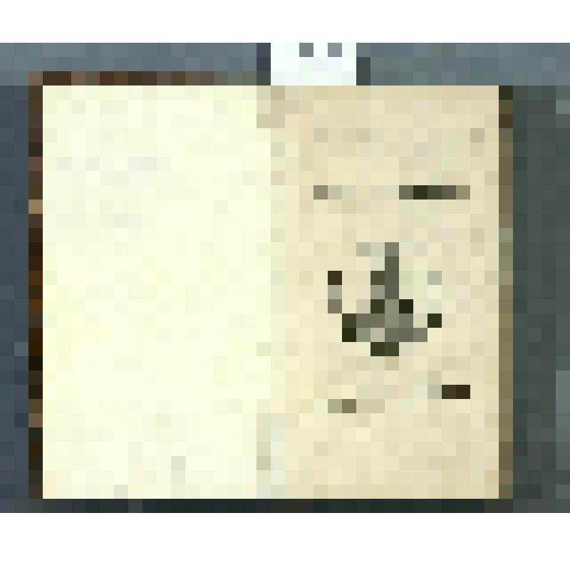 Книга. Wanderjahre