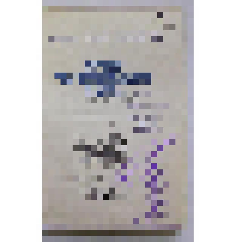 Книга. Музей Черноморского флота: Краткий путеводитель. – Симферополь: Крымиздат, 1957