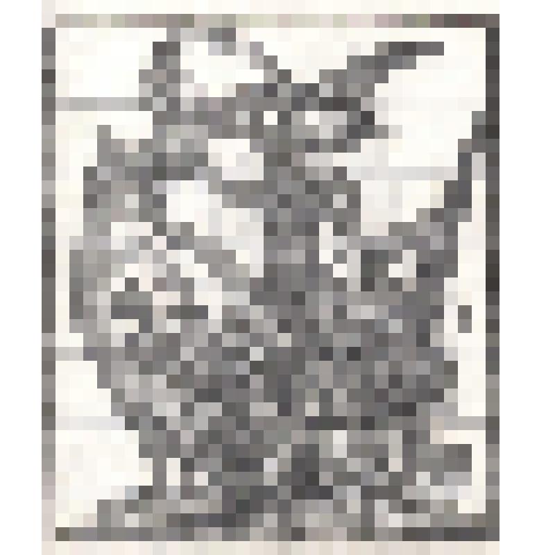 Рисунок из серии "Аллегории на тему из истории СССР" - "Море наше"