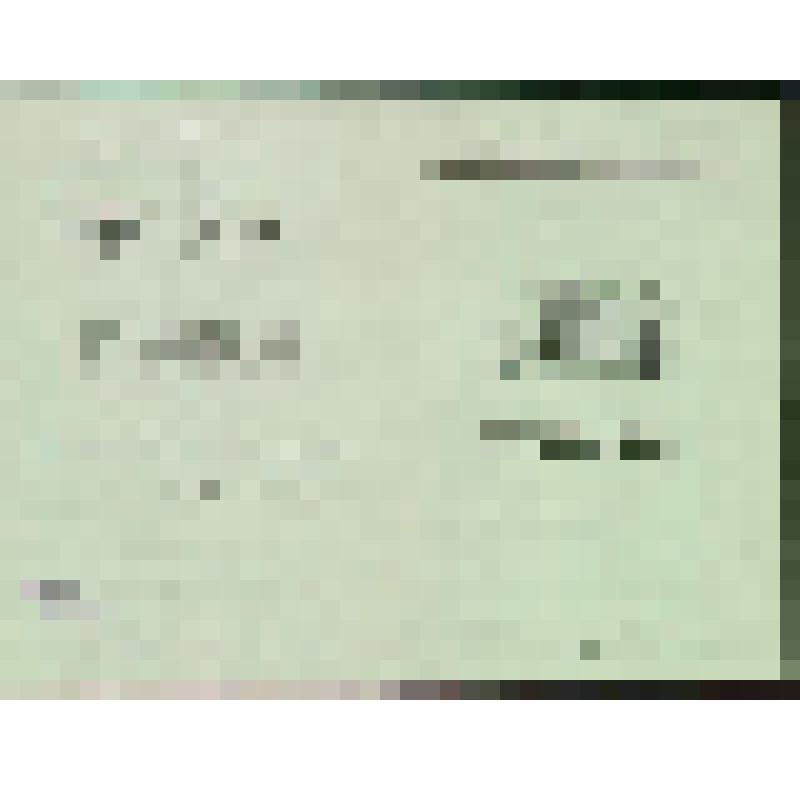 Программа. "Лебединое озеро" (Дирижер - Ройтман А.С. Постановка - Горский А.А., Мессерер А.М. Художники - Самохвалов С.К., Федоров Л.А.). Москва, Государственный академический Большой театр СССР