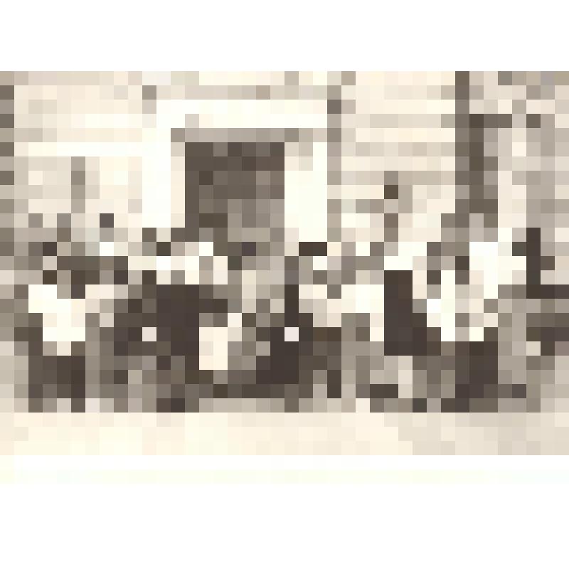 Фото. Коллектив музея истории донского казачества