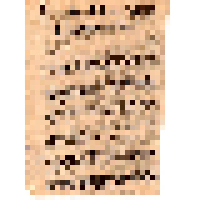 Политотдел N дивизии. Рабочим и крестьянам в польских легионах