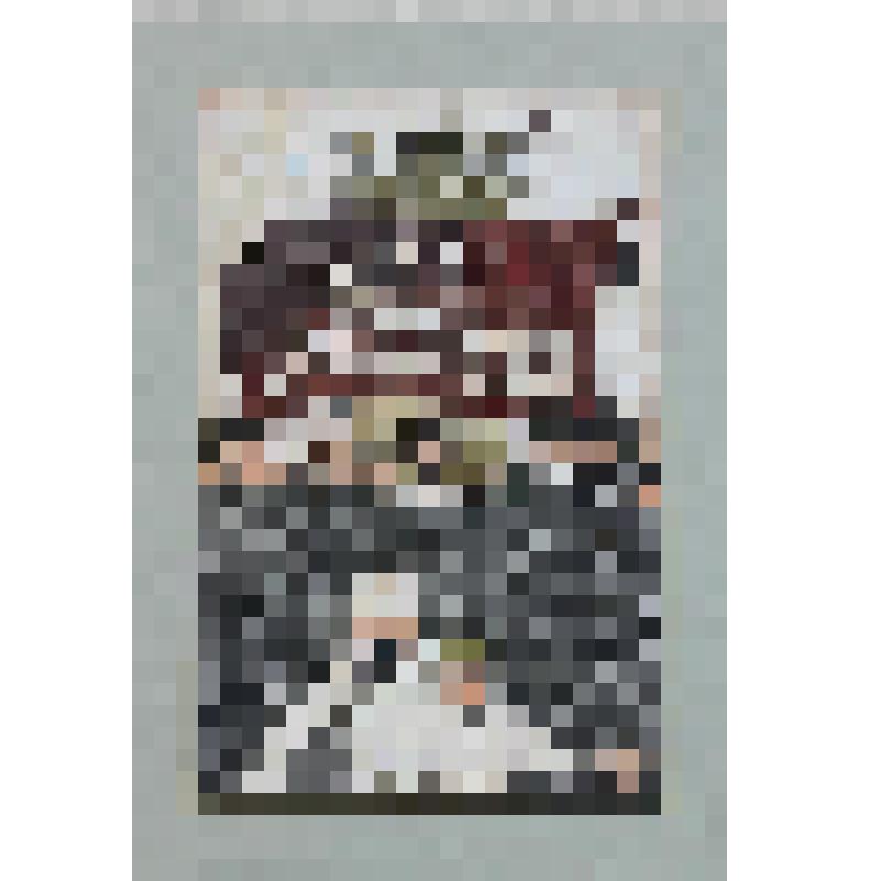 Иллюстрация № 20 "Буржуазно- демократическая революция в городе Грязовце". На паспорту, в файле. Иллюстрация