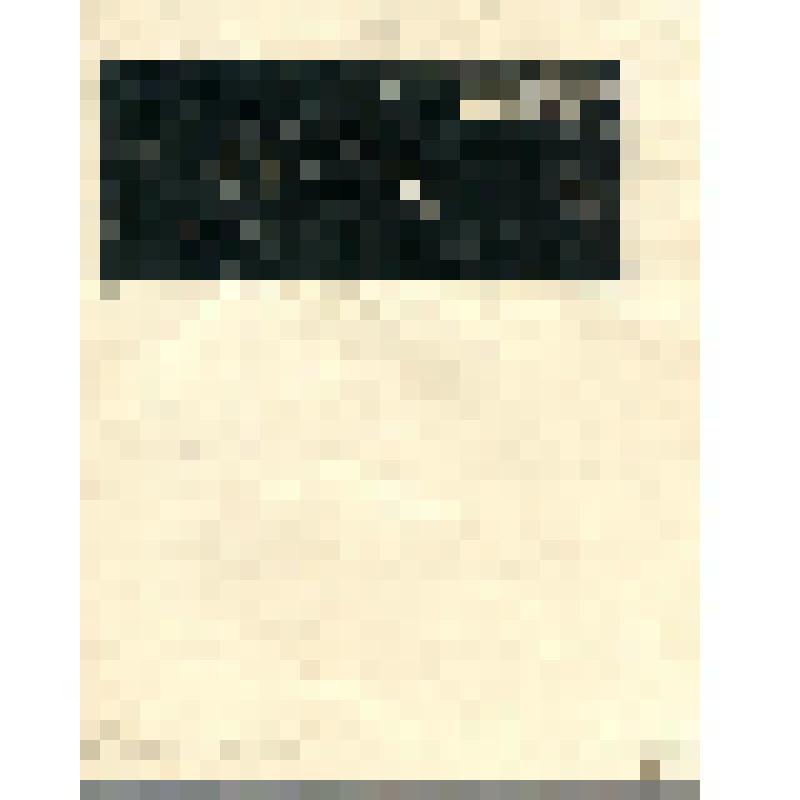 "Обстрел корабля Красной Армией". Гравюра