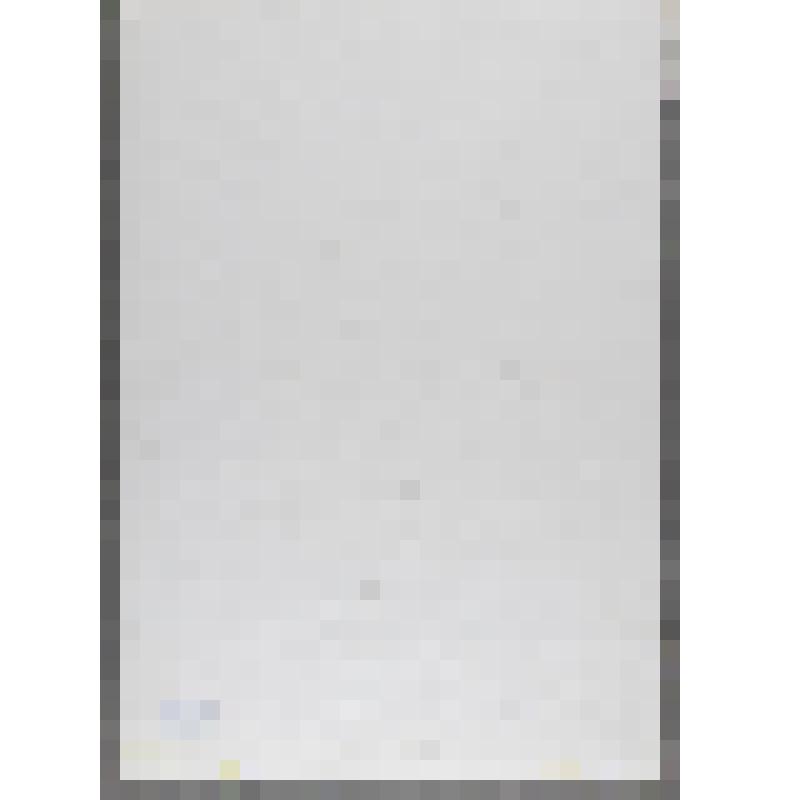 Рисунок. Натюрморт с лилиями и ирисами