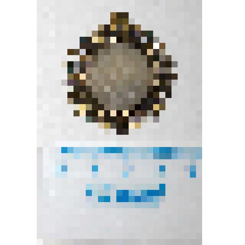 Пряжка металлическая круглая