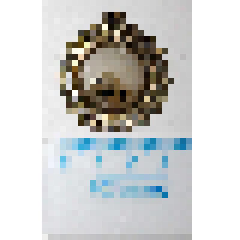 Пряжка металлическая круглая