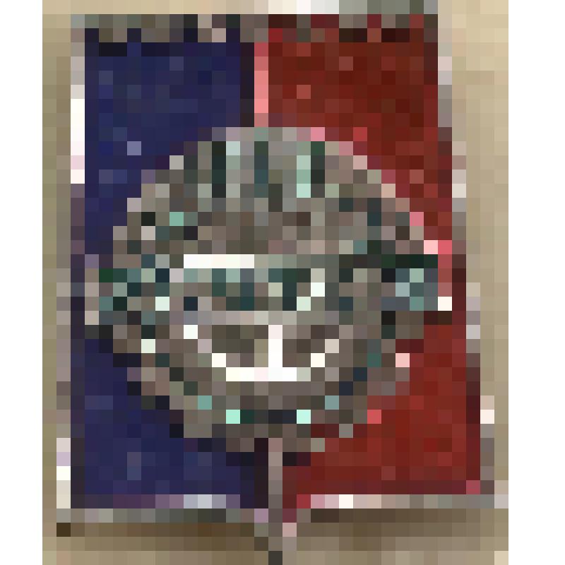 Значок нагрудный с изображением герба г.Армавира. Из коллекции по теме "Геральдика"