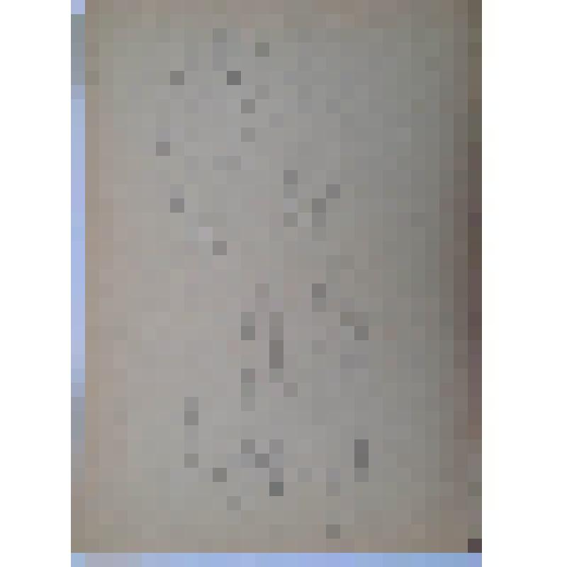 Цикл "Фрески Ферапонтова монастыря". Рисунок № 8