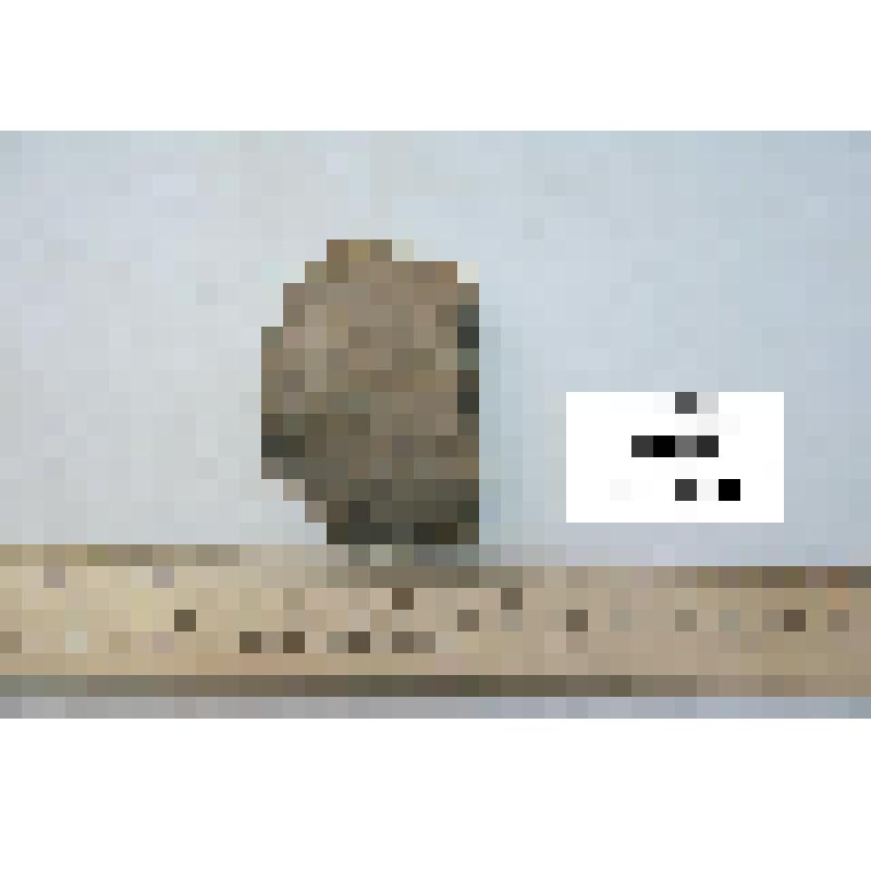 Фрагмент стенки сосуда