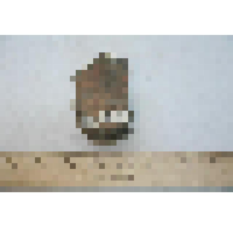 Фрагмент стенки сосуда