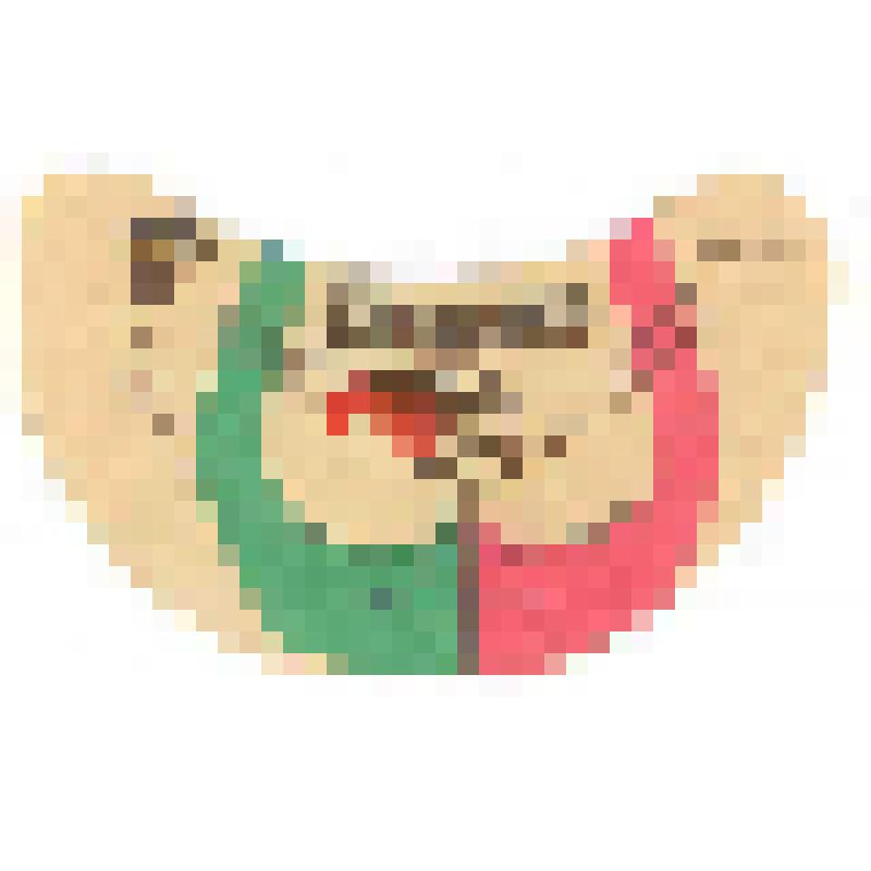 Кольеретка-этикетка горловая к напитку «Буратино» производства Ртищевского хлебокомбината Саратовского области, из коллекции кольереток – этикеток горловых к безалкогольным напиткам