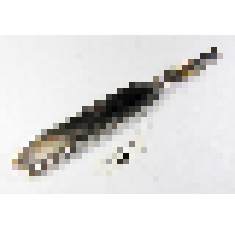 Распатор Фарабефа для отделения надкостницы от кости