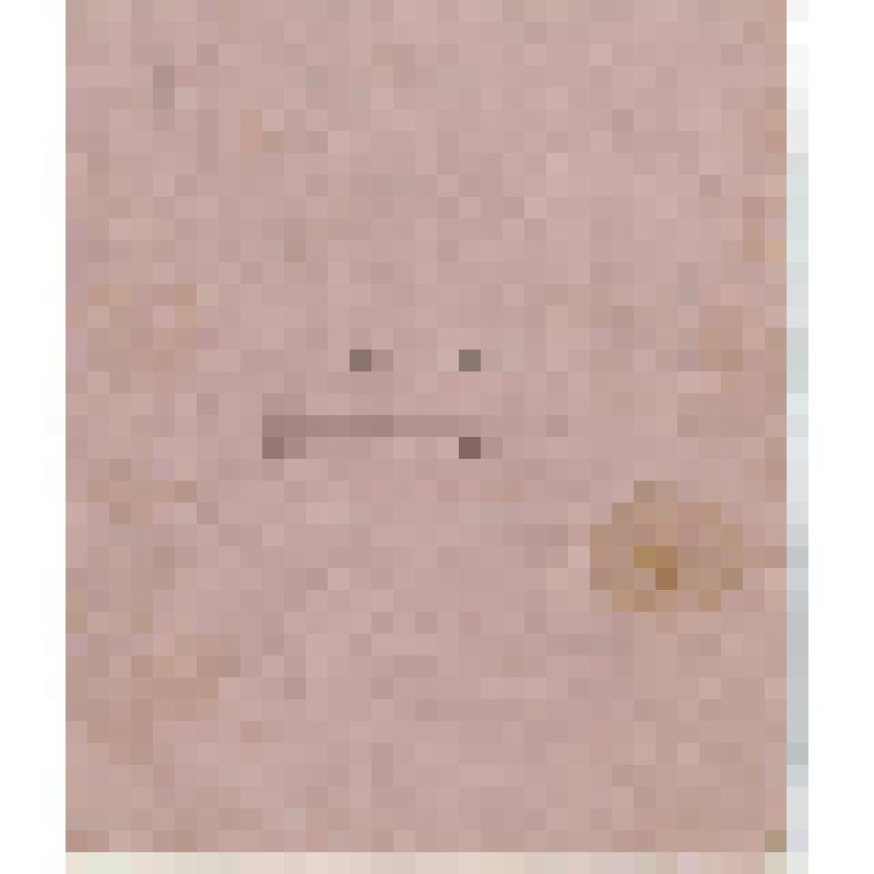 Рукопись в ученической тетради. Воспоминания Сафронова Агафона Владимировича - участника Февральской революции 1917 года, персонального пенсионера