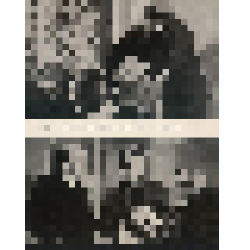 Комплект из 16 фотоплакатов на немецком языке "В.И. Ленин в советском киноискусстве". Плакат из комплекта на немецком языке «В.И. Ленин в советском киноискусстве»  с изображением 2-х  кинокадров из фильма "Первый президент"