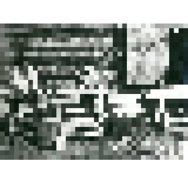 Фотография. Изготовление изделий из кости  мамонта