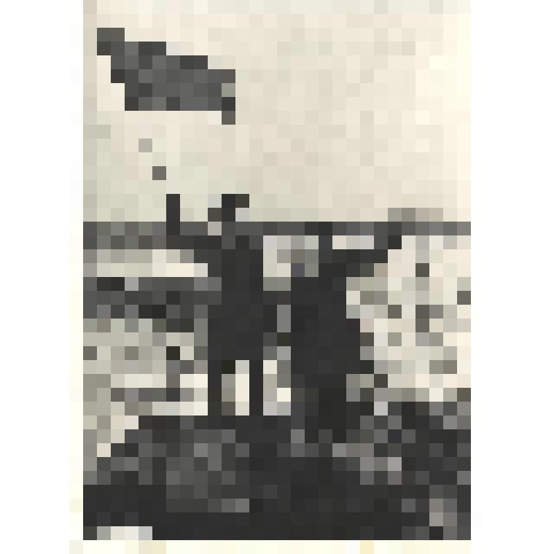 Фотографии. Фото ч/б. Советское знамя на взорванных дотах линии Маннергейма. 1940 г