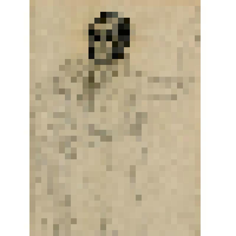 Эскиз костюма Репетилова к пьесе А.С.Грибоедова «Горе от ума». Постановка К.С.Станиславского МХТ