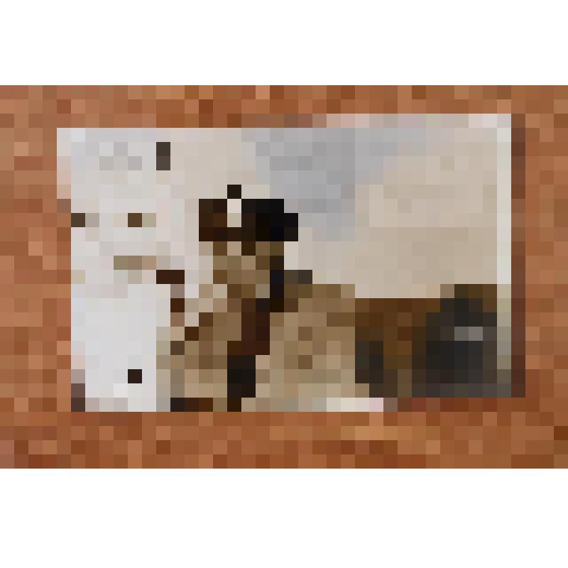 Фотография. Саетжан Амирсалихович Амирсалихов (директор Азякульской пристани)