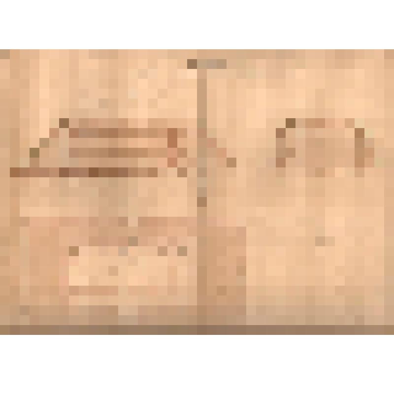 Проект ледника при офицерском доме в селе Сомино