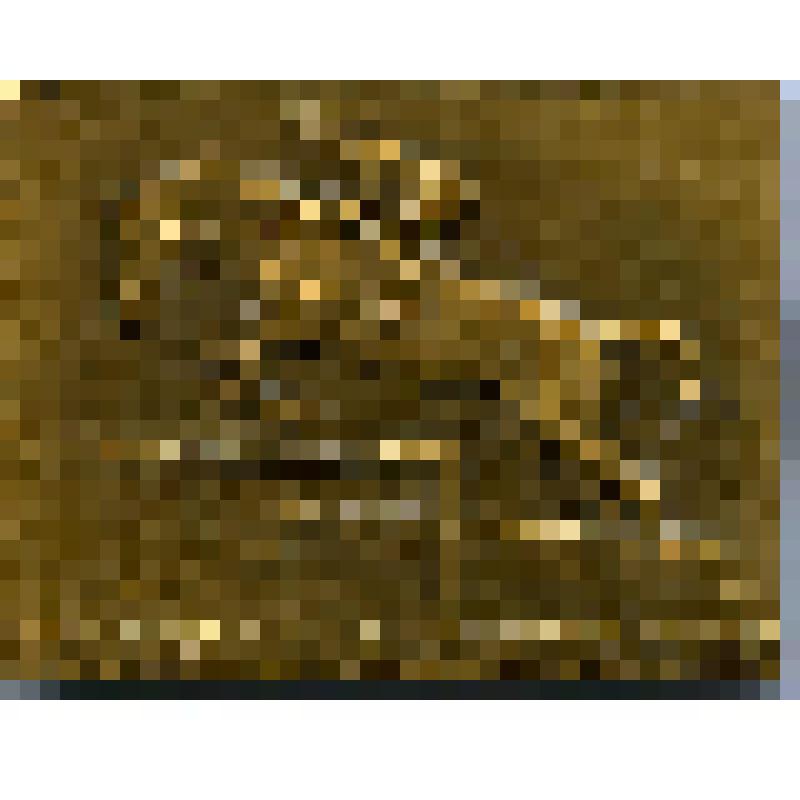 плакета. За честь и победу Родины - вперед! Чехословакия