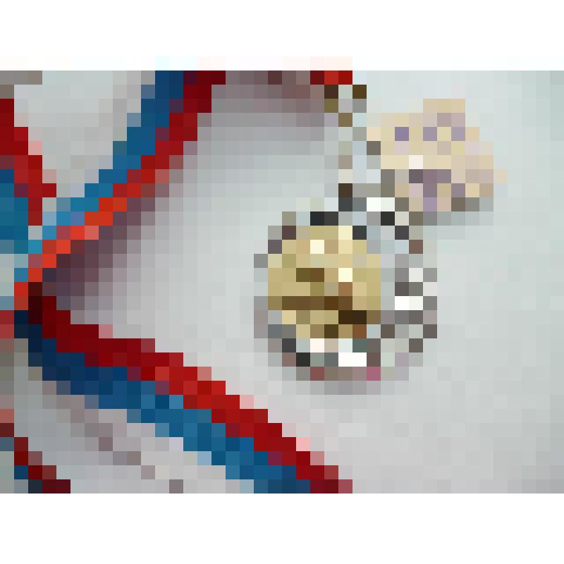 Медаль за участие в голубиной выставке г. Москва, 2003 г