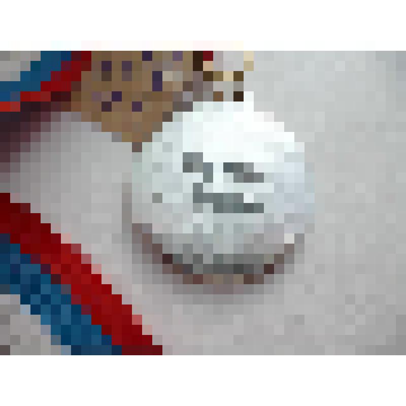 Медаль за участие в голубиной выставке г. Москва, 2003 г