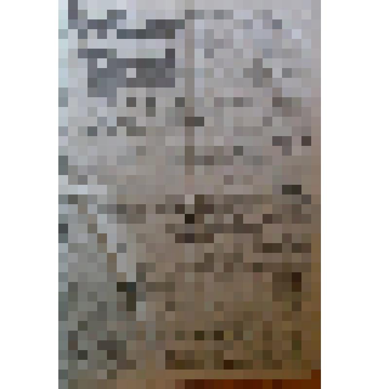 Газета "Прикамская жизнь" за 1914 год. №255 за 16.11.1914 г