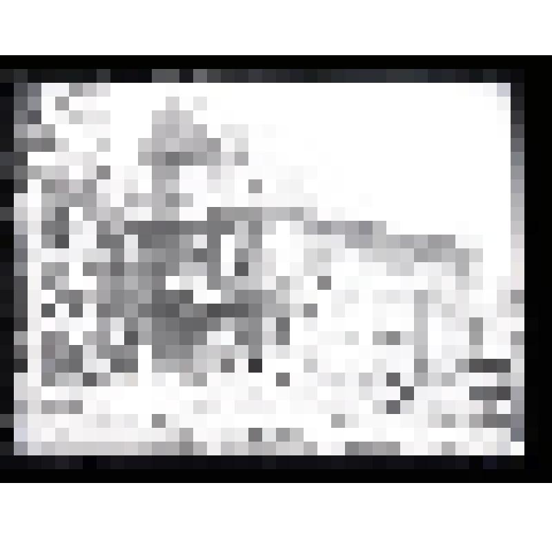 Негатив на стеклянном носителе. Дом с мезонином Барсукова-Торгашева. Русские