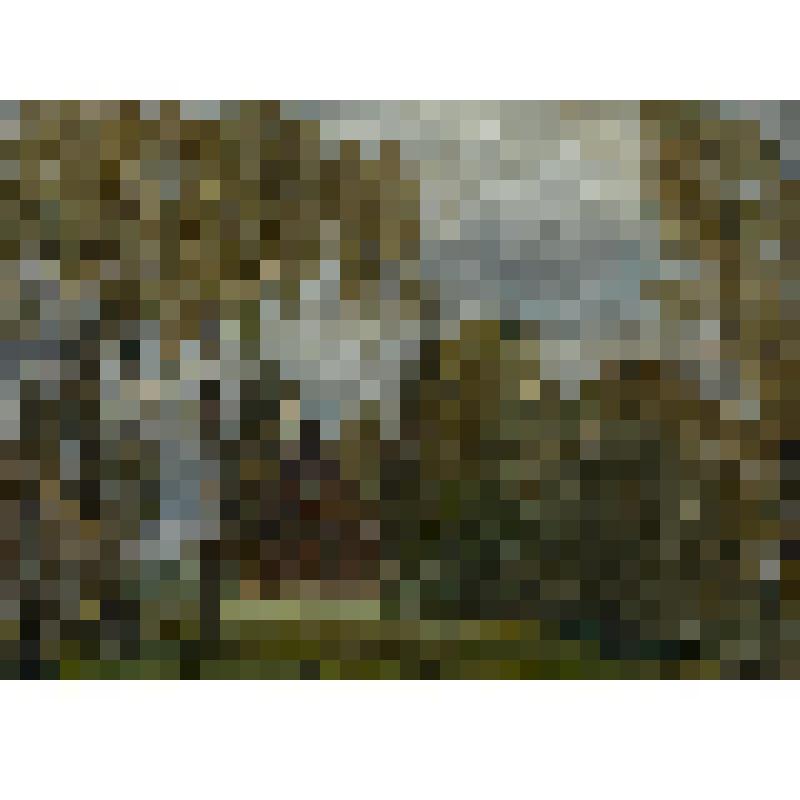 Дачка в лесу