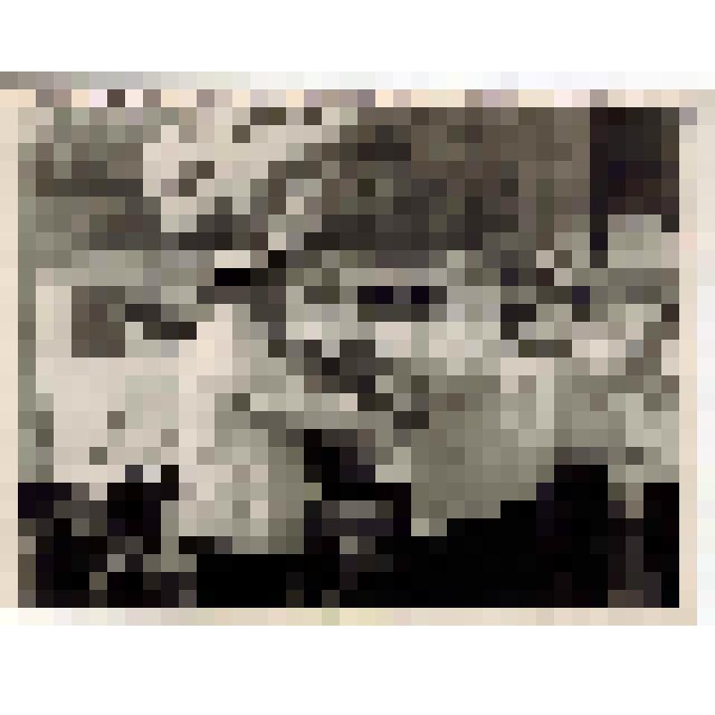 Фотография. Заболотный, капитан 1 ранга, при передаче гвардейского знамени на корабль "Сообразительный"