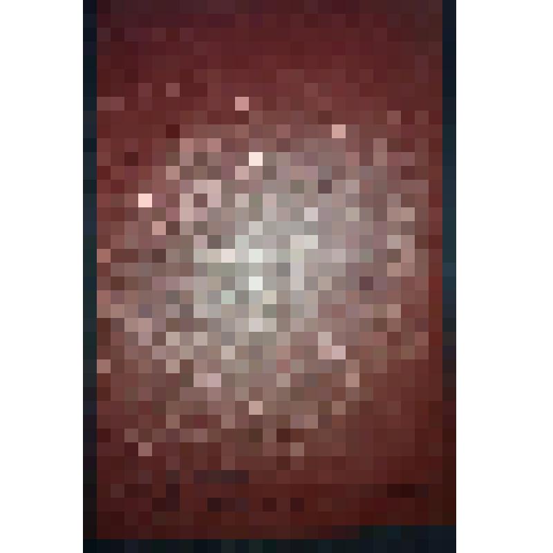 КПСС- в резолюциях и решениях съезд конференции, пленумов ЦК; Т– 14 (М- 1982 год)