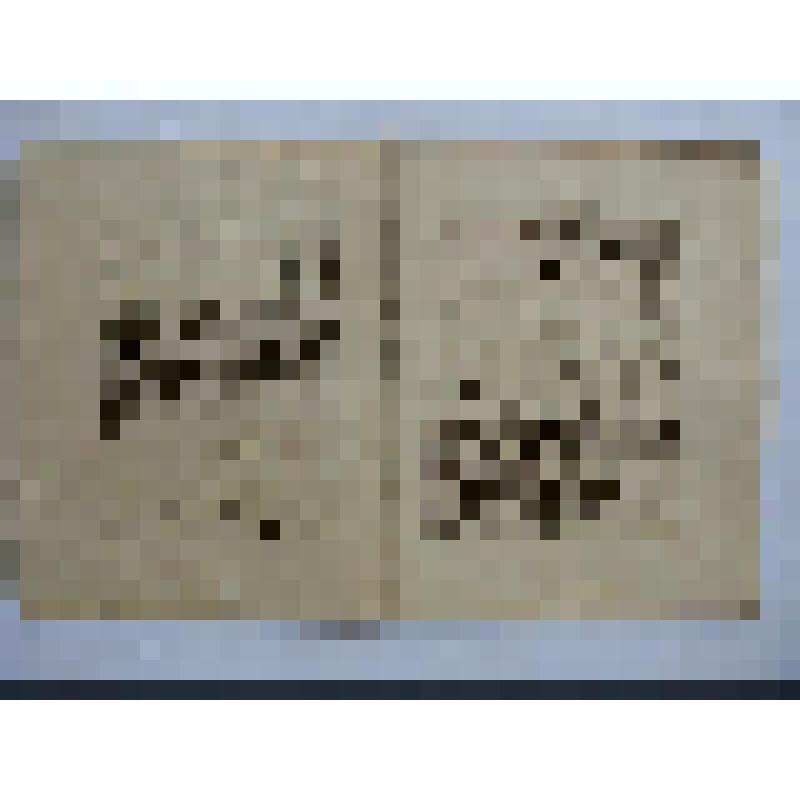 Житие Стефана, архиепископа Сурожского