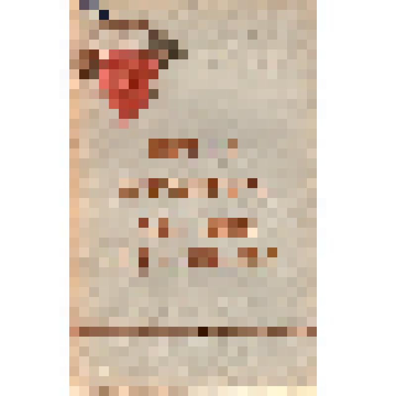 Книга. Права и обязанности женщин страны социализма