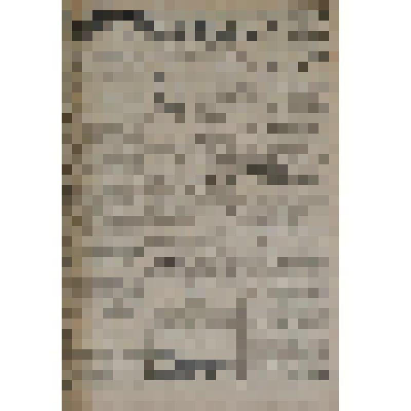 Газета. Газета. Советская мысль. Орган Северо-Двинского Губкома В.К.П., Губисполкома и Губпрофсовета. Великий Устюг, № 156 от 13 июля 1926 года