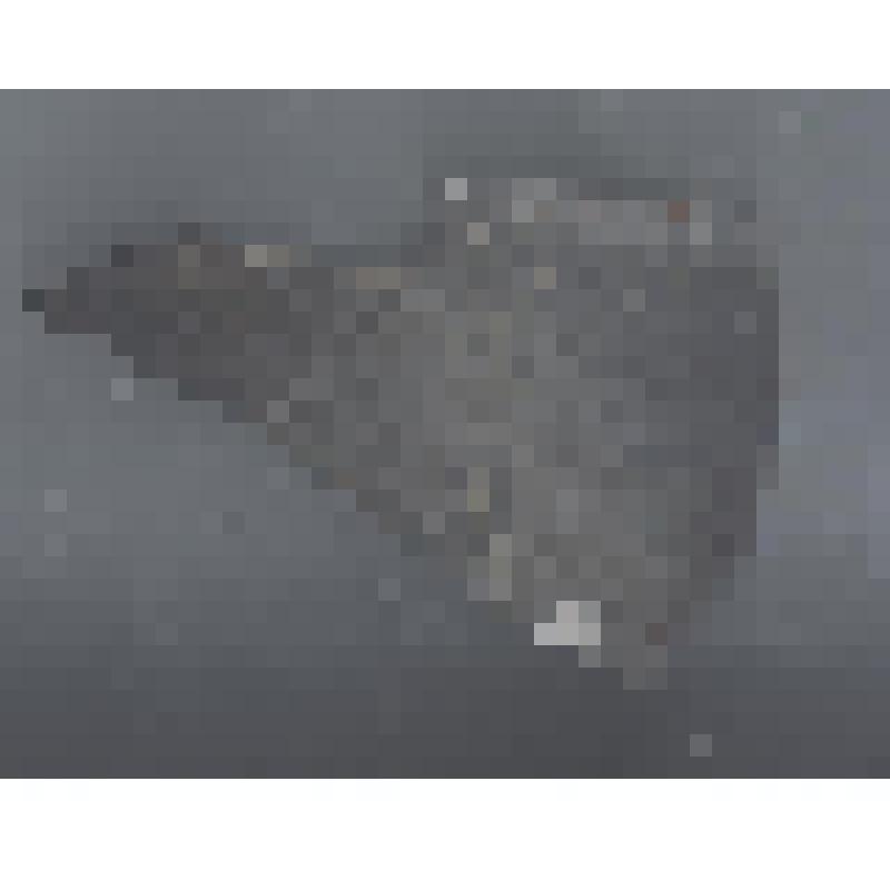 Сосуда белоглиняного чернолощеного изнутри венчика фрагмент