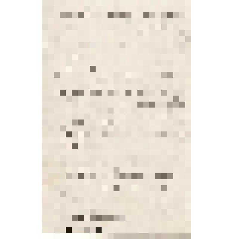 Заявление в Чердынское Уездное Полицейское Управление от Александры Петровны Алиной, 13.04.1896 г