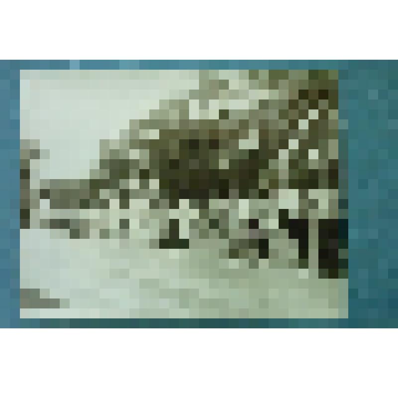 Фотография групповая