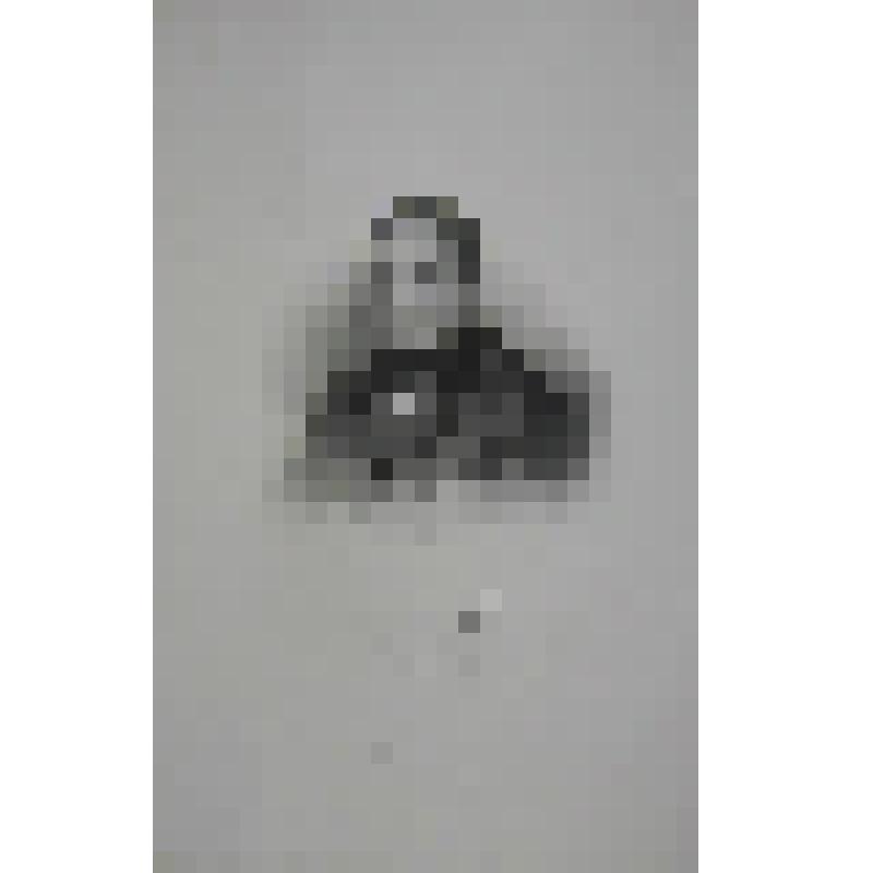 Портрет. Греч Николай Иванович