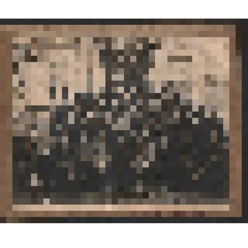 Фотопортрет на паспарту групповой (56 чел.) на фоне фасада деревянного здания. Делегаты VI  Амурского губернского съезда РКСМ