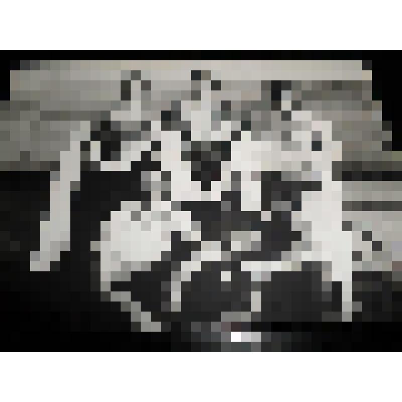 Фотография цв. Фотография