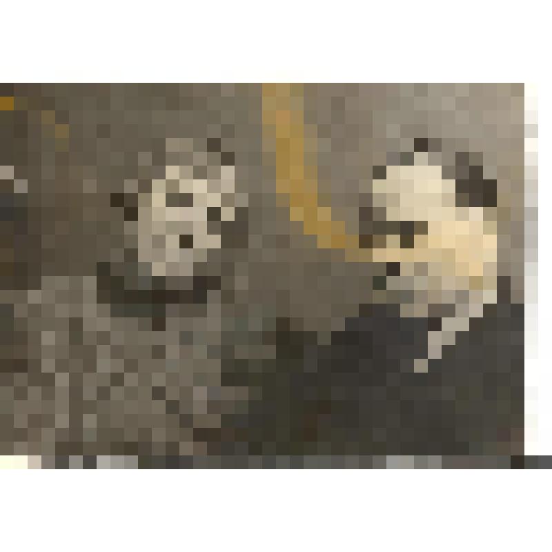 Фотография ч/б. Паустовский К.Г. и Паустовская  (Навашина) В.В. сидят. Погрудное изображение. 1940-е гг